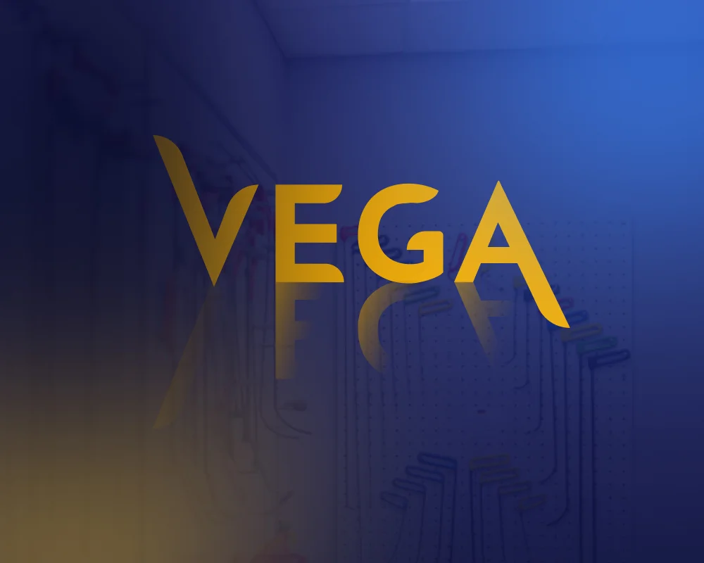 Vega PDR ustası özel ışıklarla araç panelini incelerken - Samsun boyasız göçük düzeltme